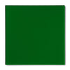 Cargar imagen en el visor de la galería, Acrylic Sheet 1/8&quot; Green Transparent #2092